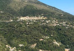 Immagine Un samedi entre nature et tradition : « Un samedi à la Campagne » à Menton