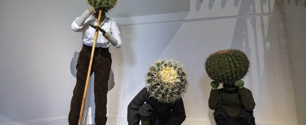Immagine The Nouveau Musée National de Monaco presents the exhibition “CACTUS”