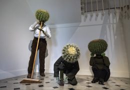 Immagine Il Nouveau Musée National de Monaco presenta la mostra “CACTUS”