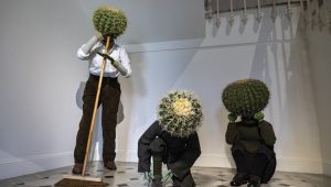 Immagine Il Nouveau Musée National de Monaco presenta la mostra “CACTUS”