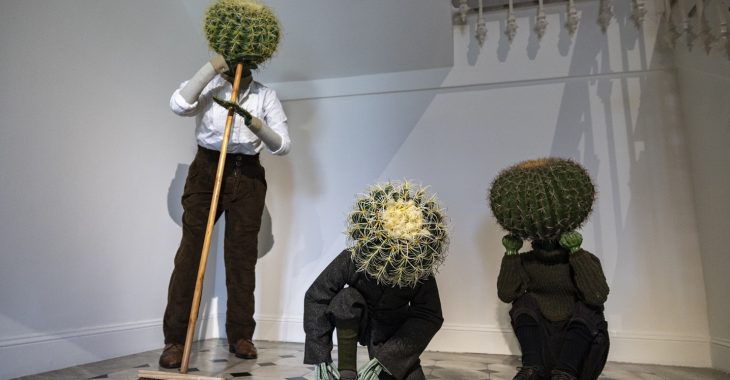 Immagine Le Nouveau Musée National de Monaco présente l’exposition « CACTUS »