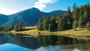 Immagine Juillet dans le Mercantour : un été gratuit entre nature, culture et émerveillement