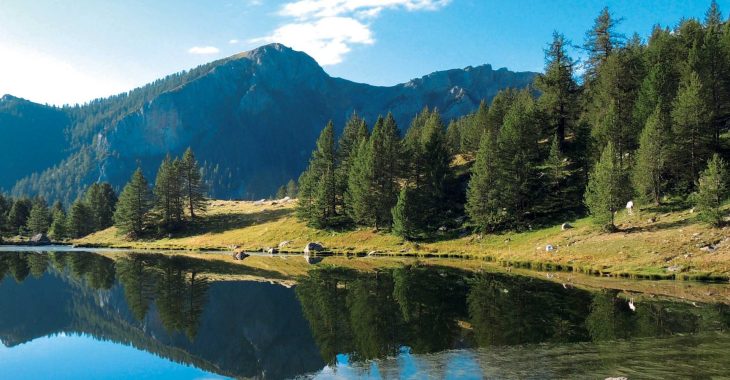 Immagine July in Mercantour: a Free Summer of Nature, Culture and Wonder