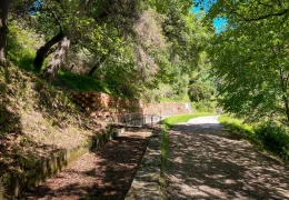 Immagine Lou Camin Nissart: Discover Nice Step by Step