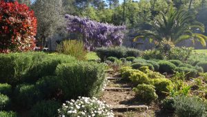 Immagine Le Grand Jardin de Fayence rouvre ses portes pour un été de charme et de découvertes