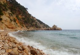 Immagine Between the French Riviera and Var: 27 beaches to experience the sea in freedom