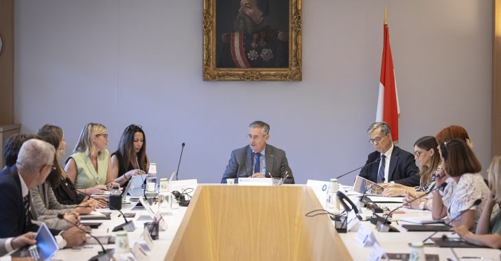 Immagine 15ª riunione della Commissione di Inserimento dei Laureati