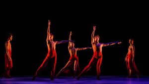 Immagine Académie Princesse Grace: Fifty Years of Excellence in Dance