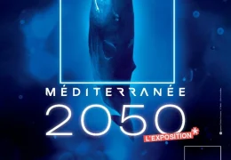Immagine Le futur de la Méditerranée prend vie au Musée Océanographique de Monaco
