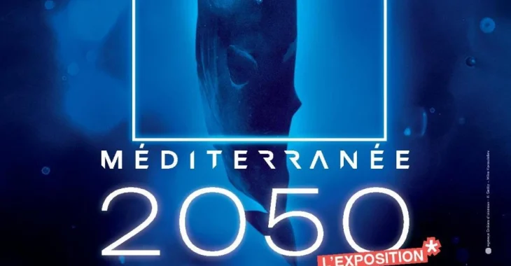 Immagine Il futuro del Mediterraneo prende vita al Museo Oceanografico di Monaco