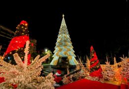 Immagine Cannes Accende la Magia del Natale