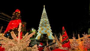 Immagine Cannes Accende la Magia del Natale