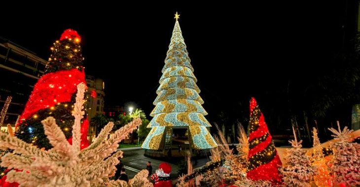 Immagine Cannes Accende la Magia del Natale