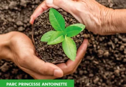 Immagine Monaco rinnova il suo impegno verde: torna il “Don de plantes” al Parc Princesse Antoinette