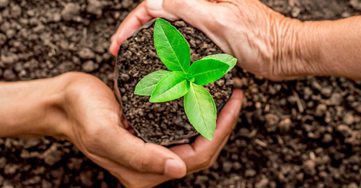 Immagine Monaco rinnova il suo impegno verde: torna il “Don de plantes” al Parc Princesse Antoinette