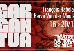 Immagine The TNN Celebrates the End of the Year and Opens 2026 Under the Sign of Sharing and Creativity