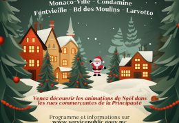 Immagine Célébrez la magie de Noël avec les commerçants de Monaco