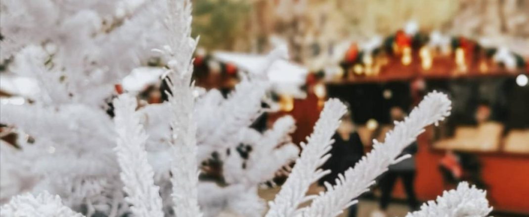 Immagine Vence Becomes a Wonderland: A Christmas of Lights, Art and Traditions on the French Riviera