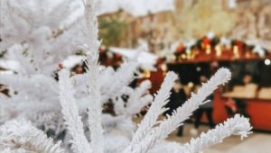 Immagine Vence Becomes a Wonderland: A Christmas of Lights, Art and Traditions on the French Riviera