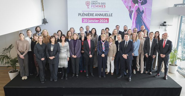 Immagine Diritti delle donne: il Comitato presenta il 7° rapporto annuale e definisce le priorità per il futuro