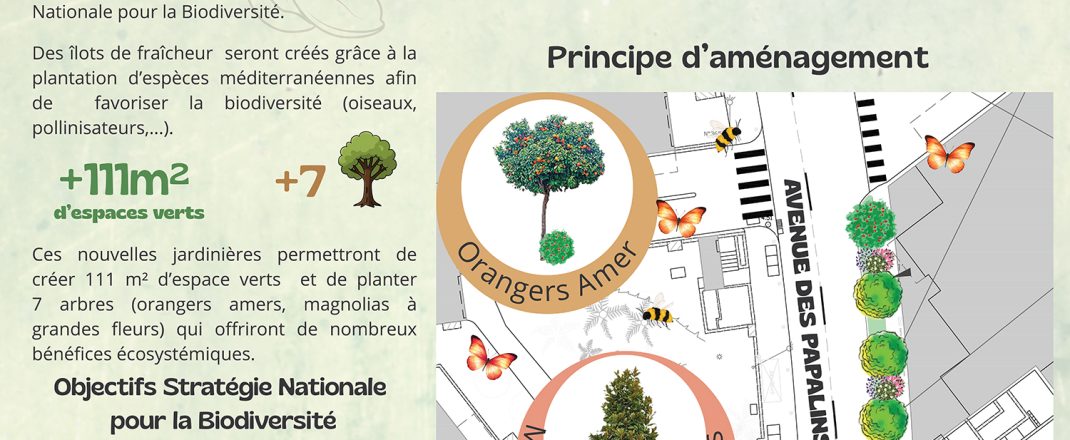 Immagine Agrandissement des jardinières de l’avenue des Papalins