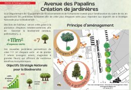 Immagine Ampliamento delle fioriere dell’Avenue des Papalins