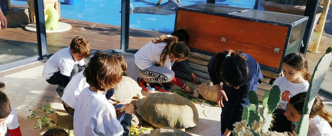 Immagine Vacanze scolastiche al Museo Oceanografico di Monaco: attività per bambini tra mare, scienza e sostenibilità