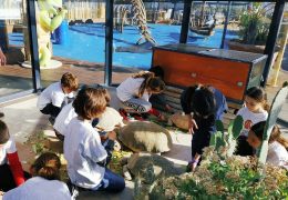 Immagine Vacances scolaires au Musée océanographique de Monaco : activités pour enfants autour de la mer, de la science et de la durabilité