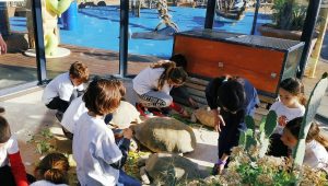 Immagine School Holidays at the Oceanographic Museum of Monaco: activities for children focused on the sea, science and sustainability
