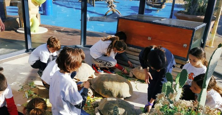 Immagine Vacances scolaires au Musée océanographique de Monaco : activités pour enfants autour de la mer, de la science et de la durabilité