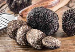 Immagine Il profumo del tartufo sul Mediterraneo: Saint-Jean-Cap-Ferrat celebra il suo oro nero