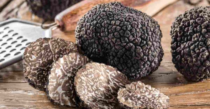 Immagine Il profumo del tartufo sul Mediterraneo: Saint-Jean-Cap-Ferrat celebra il suo oro nero