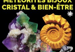 Immagine 24th Minerals Fair in Menton: Discover Rare Minerals, Gems and Meteorites at Palais de l’Europe