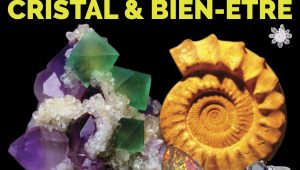 Immagine 24e Salon des Minéraux à Menton: découvrez minéraux, pierres précieuses et météorites au Palais de l’Europe