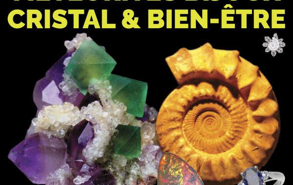 Immagine 24° Salon des Minéraux a Mentone: Minerali, Gemme e Meteoriti in Mostra al Palais de l’Europe