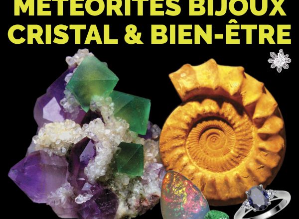 Immagine 24th Minerals Fair in Menton: Discover Rare Minerals, Gems and Meteorites at Palais de l’Europe
