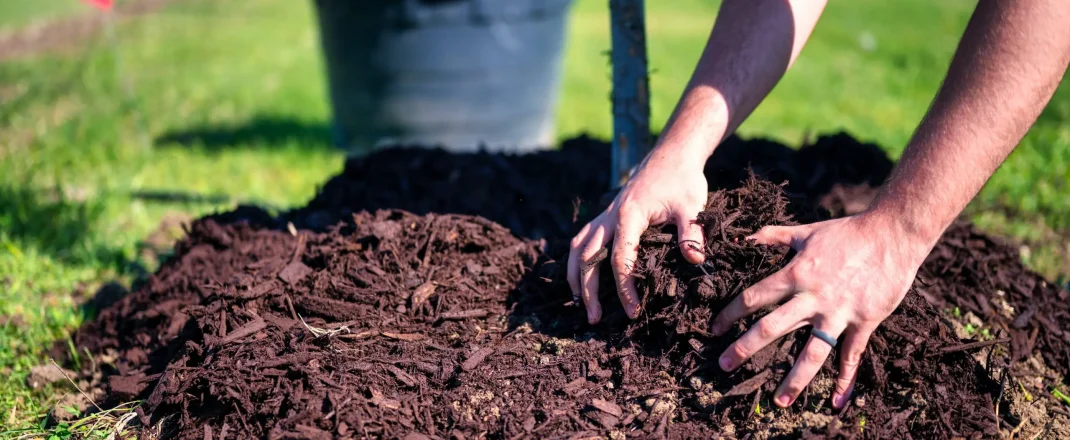 Immagine Riviera francese: distribuzione gratuita di compost dal 27 al 29 marzo 2026 nelle déchèterie CARF