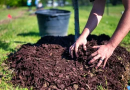 Immagine Riviera francese: distribuzione gratuita di compost dal 27 al 29 marzo 2026 nelle déchèterie CARF
