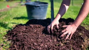 Immagine French Riviera: free compost distribution from March 27 to 29, 2026 in CARF recycling centers