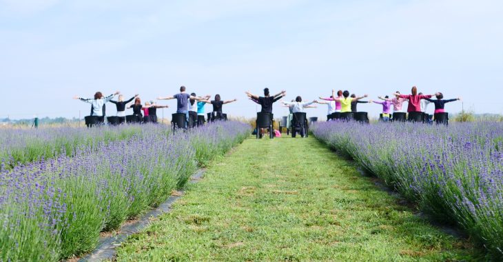 Immagine Au cœur des champs de lavande du Monferrato : une expérience entre nature, vin et bien-être Immagine Au cœur des champs de lavande du Monferrato : une expérience entre nature, vin et bien-être