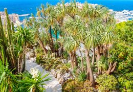 Immagine Monaco reopens its Exotic Garden after six years: a restored landmark returns