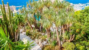 Immagine Riapertura Giardino Esotico di Monaco 2026: date, lavori e informazioni utili