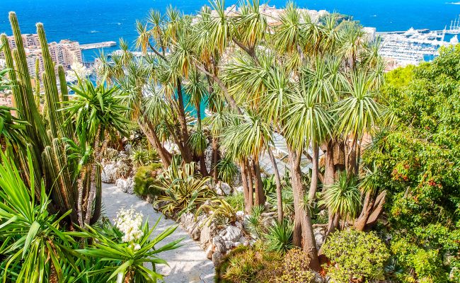 Reopening of the Exotic Garden of Monaco 2026