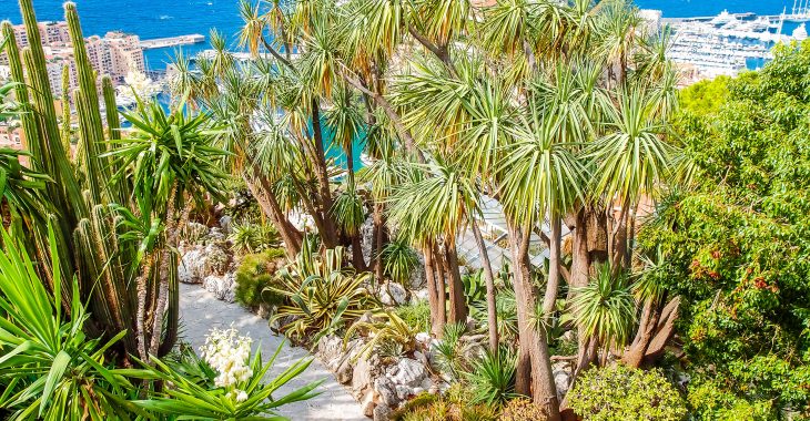 Immagine Riapertura Giardino Esotico di Monaco 2026: date, lavori e informazioni utili