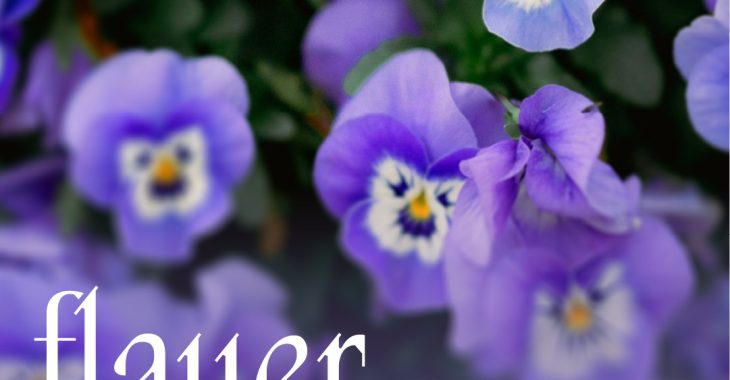 Immagine Dalla Costa Azzurra ad Alassio: il festival FLAUER 2026 è la gita perfetta tra fiori, cucina e sostenibilità Immagine Dalla Costa Azzurra ad Alassio: il festival FLAUER 2026 è la gita perfetta tra fiori, cucina e sostenibilità