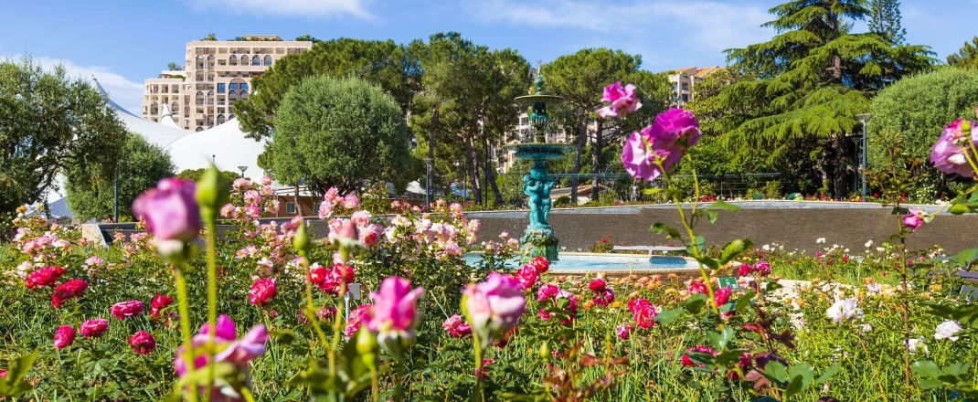 Immagine Monaco celebra l’8° Concorso Internazionale delle Nuove Rose 2026 alla Roseraie Princesse Grace