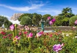 Immagine Monaco celebra l’8° Concorso Internazionale delle Nuove Rose 2026 alla Roseraie Princesse Grace