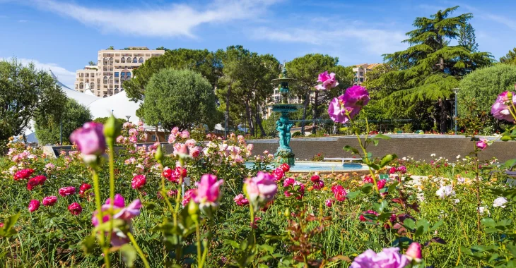Immagine Monaco celebra l’8° Concorso Internazionale delle Nuove Rose 2026 alla Roseraie Princesse Grace