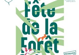 Immagine Beausoleil célèbre la nature: Fête de la Forêt 2026 au Parc de Grima et Ciné-Concert au Village Charlot