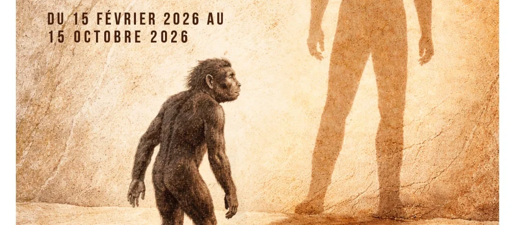 Immagine “Da Toumaï a Sapiens” al Museo di Antropologia Preistorica di Monaco: un viaggio immersivo nelle origini dell’uomo